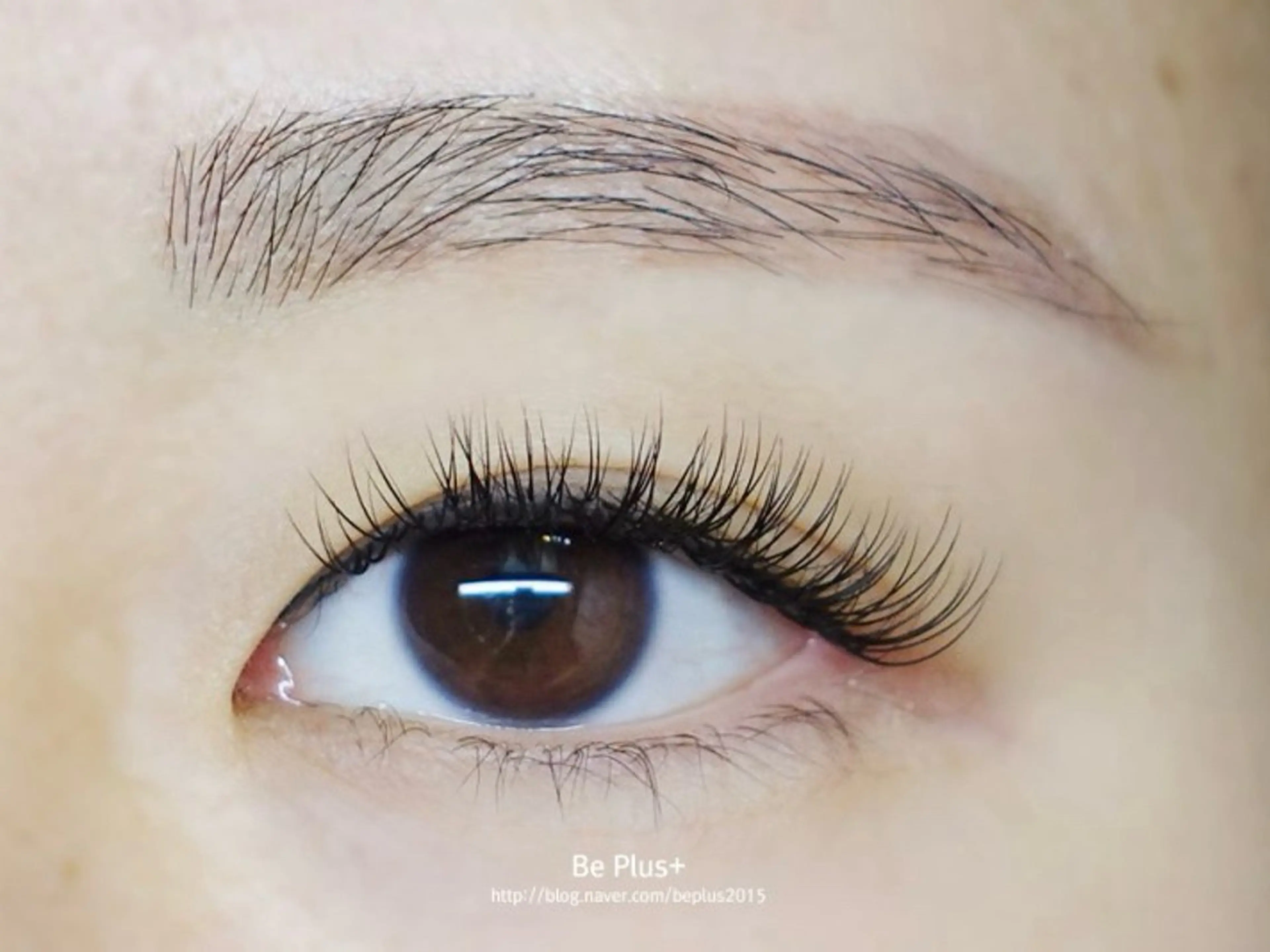 マツエク・マツパ Nail&Eyelash   Luara所属・Luara 神戸トアロードのマツエク・マツパデザイン