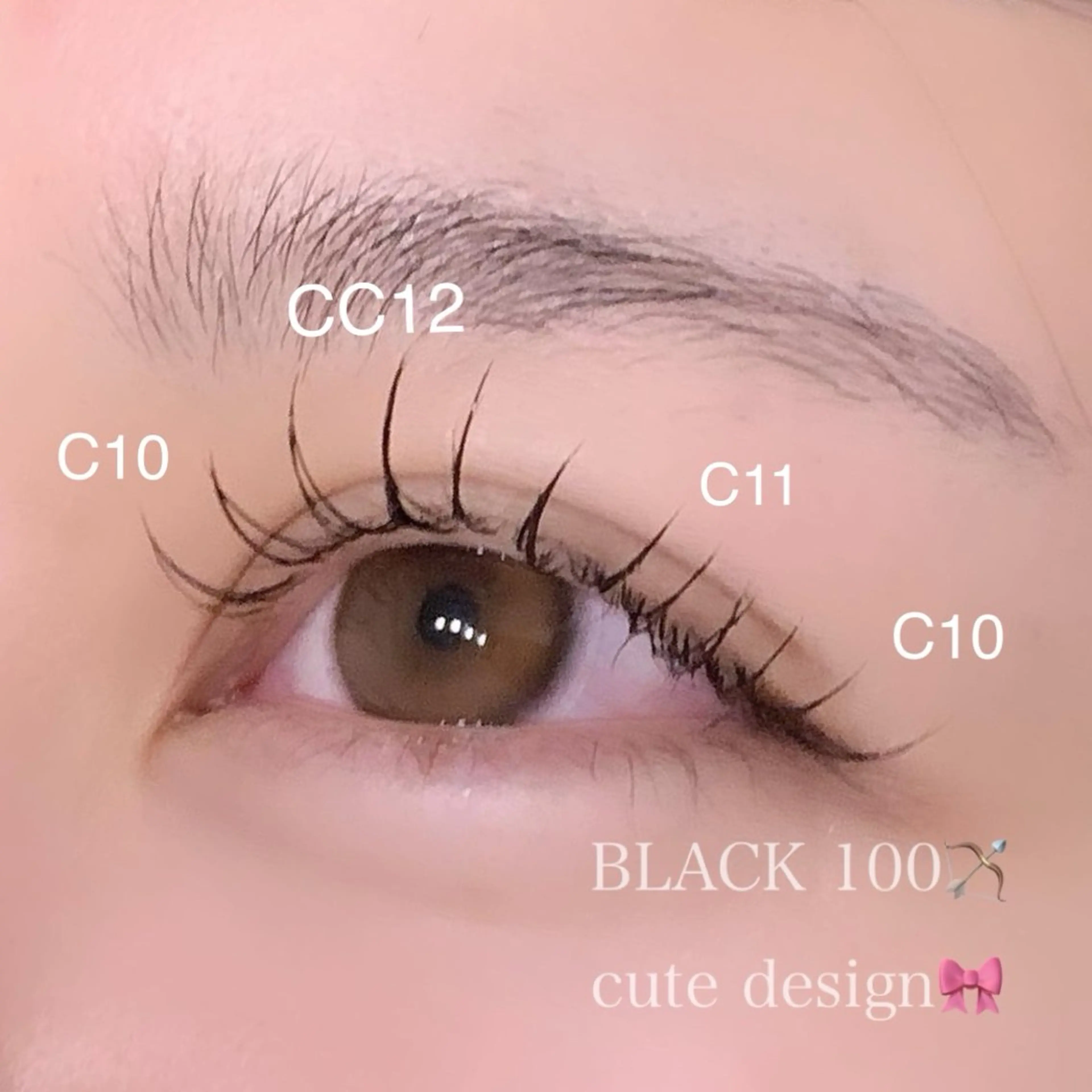 👀✨️フラットラッシュ 100本👀✨の写真