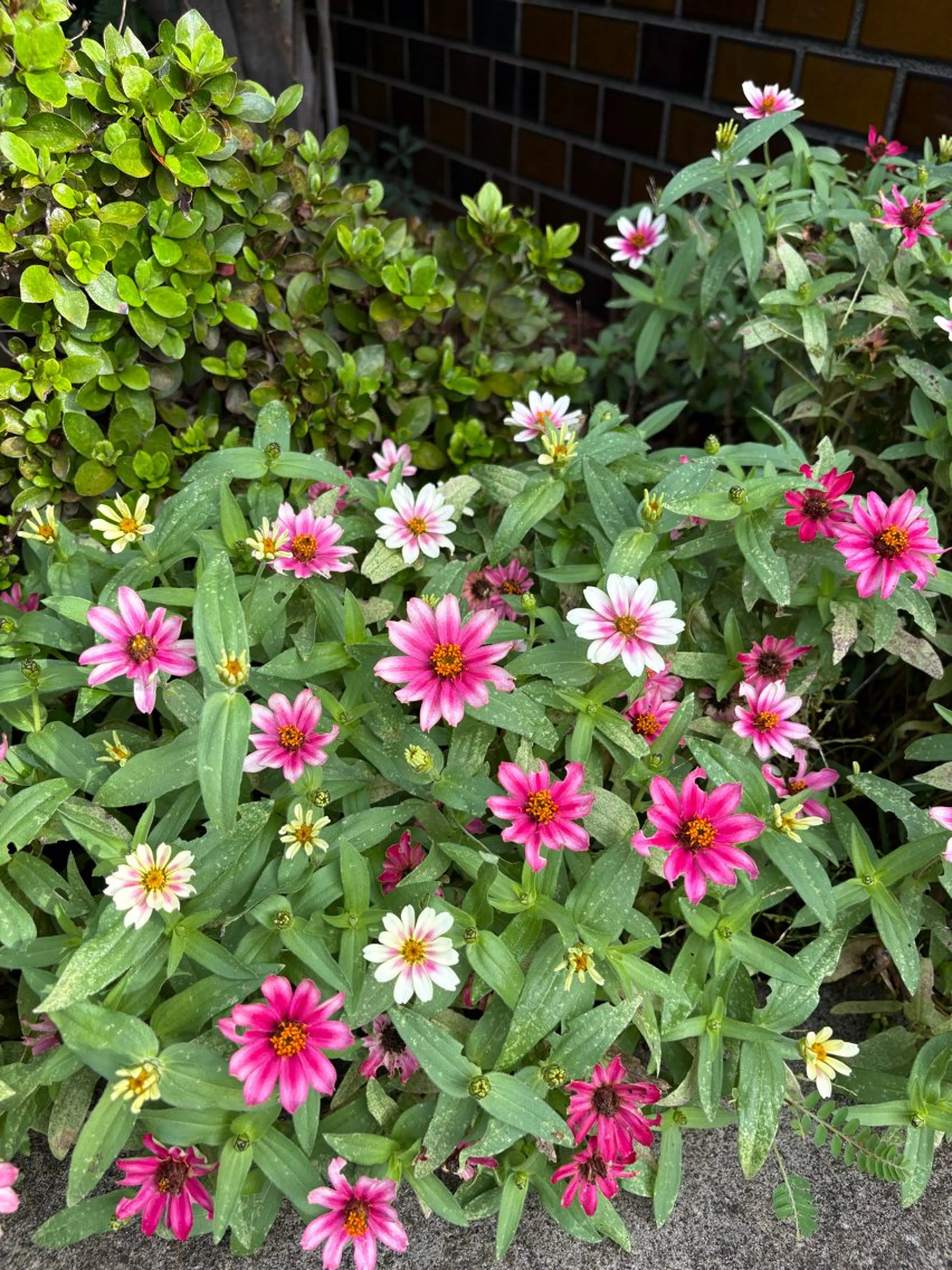 田川 美熙のエステ・リラクイメージ