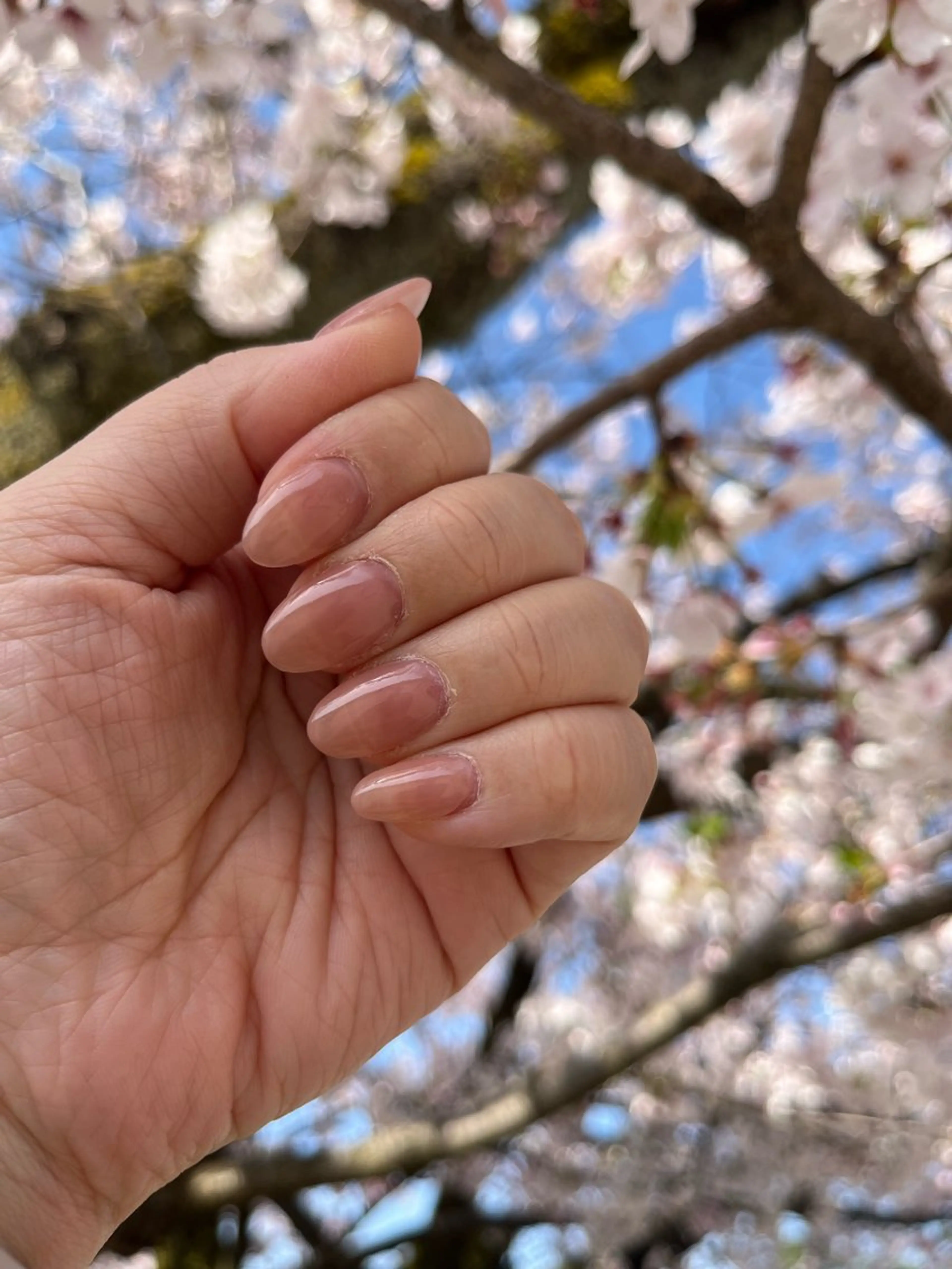ネイル オフィスネイル ワンカラーネイル Re. nail salonのネイルデザイン