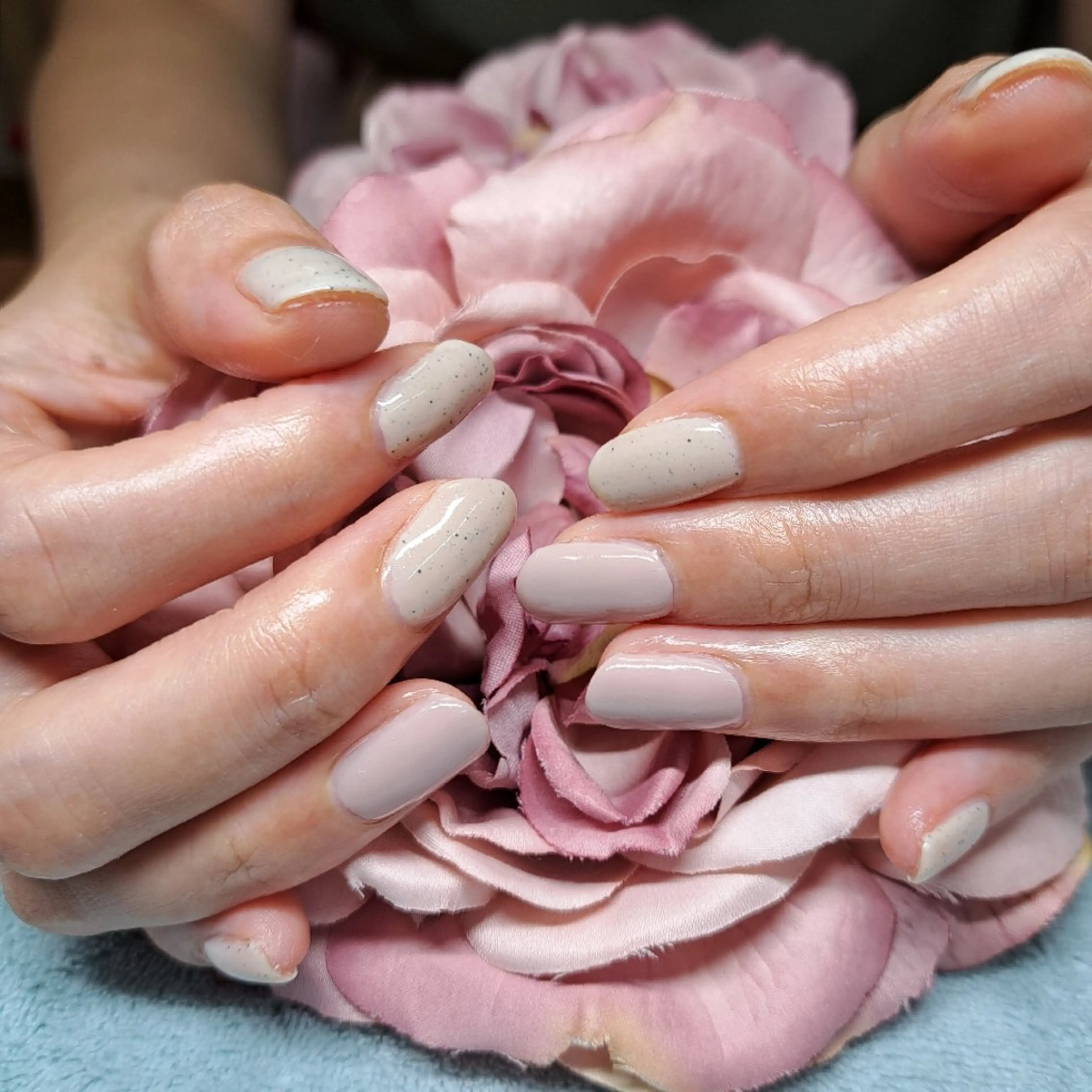 ネイル ワンカラーネイル HAYASHI  Nのネイルデザイン