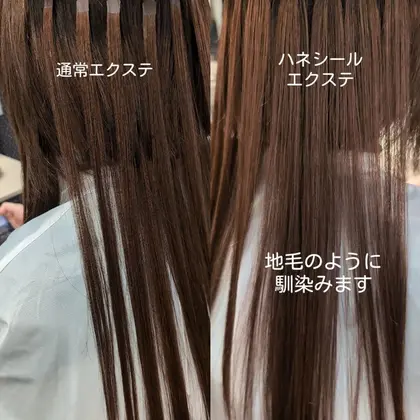 人毛100% 毛束エクステンションssr038 38cm 60g : ウィッグ