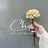 Chipi Nail