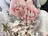 D-BEAUTY Nailsalonのプロフィール画像