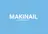 ･:*+.✳︎˚✧₊ MAKI NAIL
