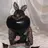 G.O.A.T🐣 渡邊晴希のプロフィール画像