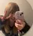 🐈⬛八木風歌 ifh飯塚🐈⬛のプロフィール画像