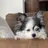 BROCANTE立川 karasawa.nのプロフィール画像