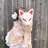 マッサージFREYA おおたかの森🐾✨のプロフィール画像