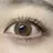 lashes Francのプロフィール画像
