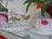 プライベートサロン Rosy Lilyのプロフィール画像
