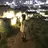 FOCUS 🎀🫧のプロフィール画像