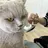 nail_ ayaeのプロフィール画像