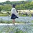 むらたナチュラルパー マ🌀透明感カラーのプロフィール画像