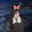 小森聖奈 韓国風レイヤーカットのプロフィール画像
