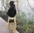 遠藤 琴音のプロフィール画像