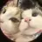 Jewel. mimoriのプロフィール画像