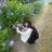 N° rico 霞歩のプロフィール画像