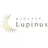 Lupinus 武蔵小金井店