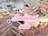 Searlin Nailのプロフィール画像
