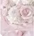 Princess Rose 富士店¨̮