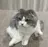 eye’s カマタのプロフィール画像