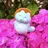 大島 颯弥華のプロフィール画像