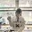 加藤 そら
