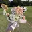 kanau ゆなのプロフィール画像