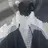 チク ホノカ
