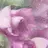 eyelashパレス 田中