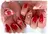 NAIL Nutsのプロフィール画像