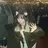 she. momonoのプロフィール画像