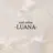 LUANA 守口市駅
