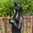 ayaha ⌇angelicaのプロフィール画像