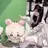 🎀 Riho 🎀のプロフィール画像