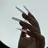Nail .YMI Salonのプロフィール画像