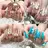 Nail Salon Elpis