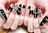 Joliesse nail salon
