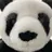 坂井 亜衣のプロフィール画像