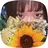 Mikami Ayakaのプロフィール画像