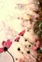 中西 沙英