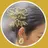 Halea きょうこのプロフィール画像
