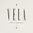VELA / Miyûのプロフィール画像