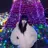 🎀 アネラ しま  🎀のプロフィール画像