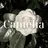 博多メンズサロン 【Camélia】