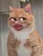 Doraemon ANA.CHUOのプロフィール画像