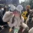 🎀ноиокa🎀 レイヤー×暖色カラーのプロフィール画像