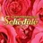 Schedule (スケジュール)