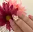 chii nailのプロフィール画像